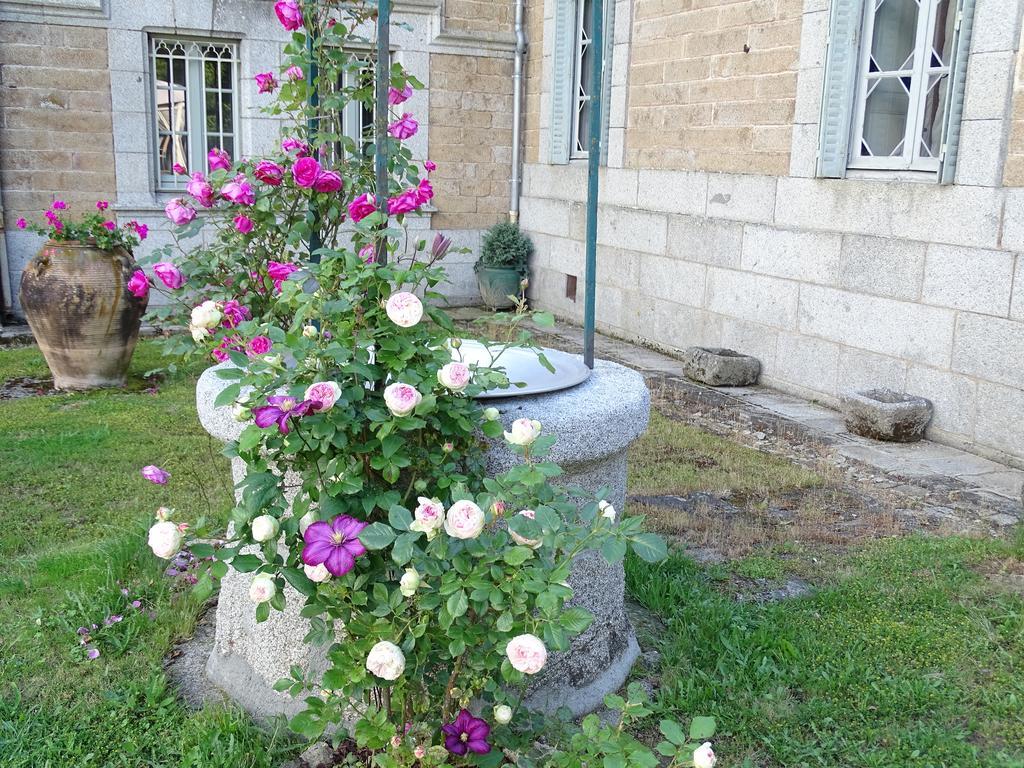 Chateau De Crocq - Chambres D'Hotes De Charme Екстериор снимка